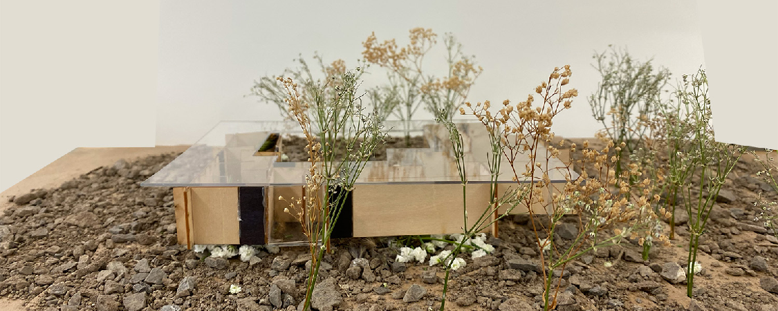Physical model photograph